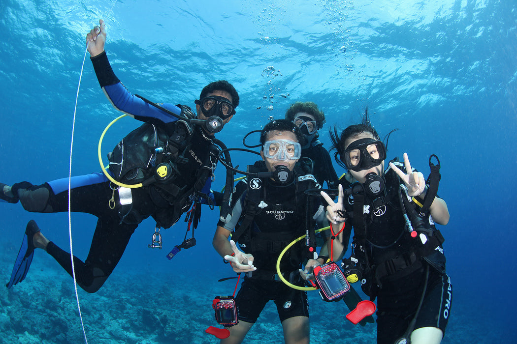 Experienced Spanish and English Speaking Dive Instructor with references