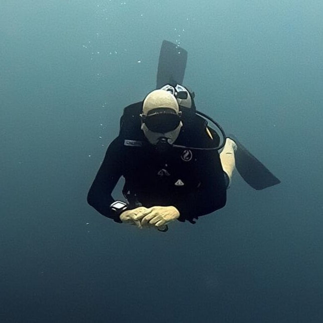 night dive