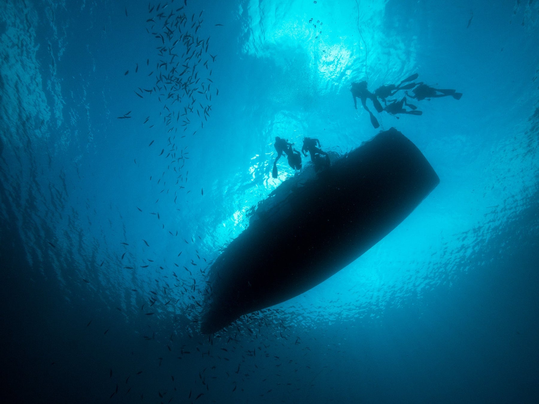Your First Dive in the Maldives: What to Expect (Step by Step)