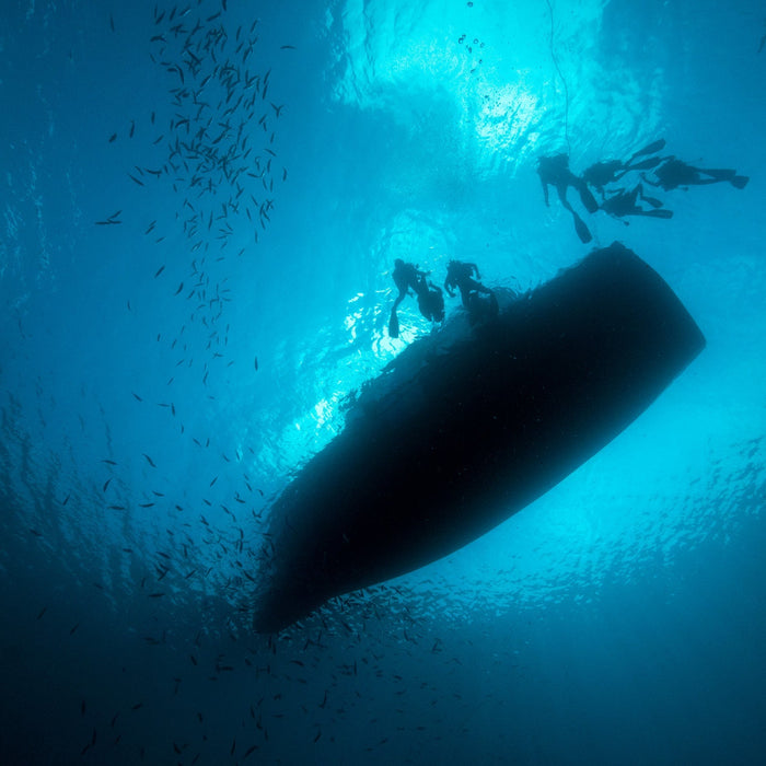 Your First Dive in the Maldives: What to Expect (Step by Step)