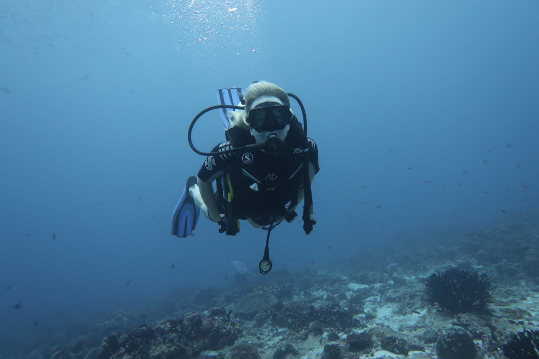 Copy of PADI Referral Course (without confined dive)