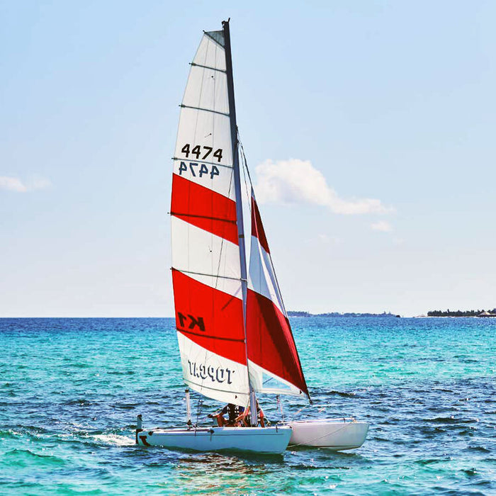 Catamaran Sailing