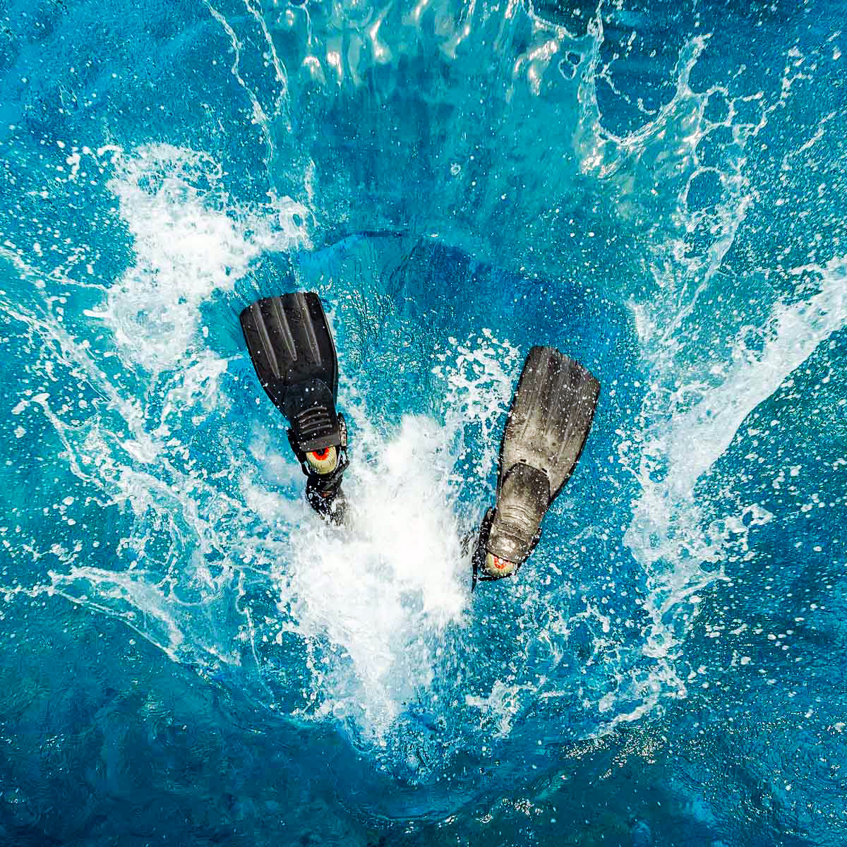 Experience Speed Boat Dive - Maafushi Dive and Water Sports